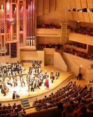 Sonic Live In Concert
