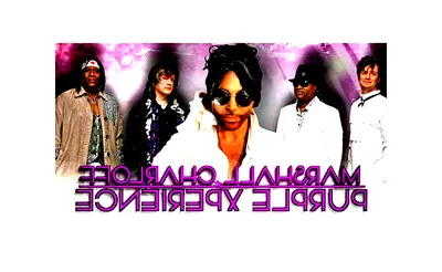 The Purple Xperience